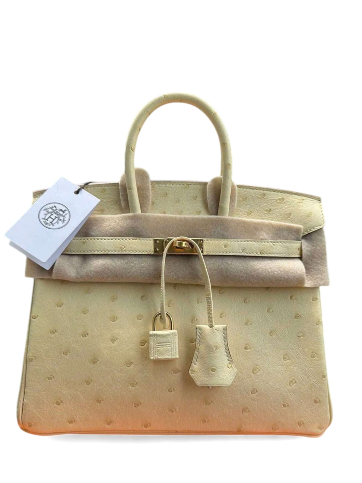 Hermes Birkin Retourne 25 Vanille Ostrich GHW