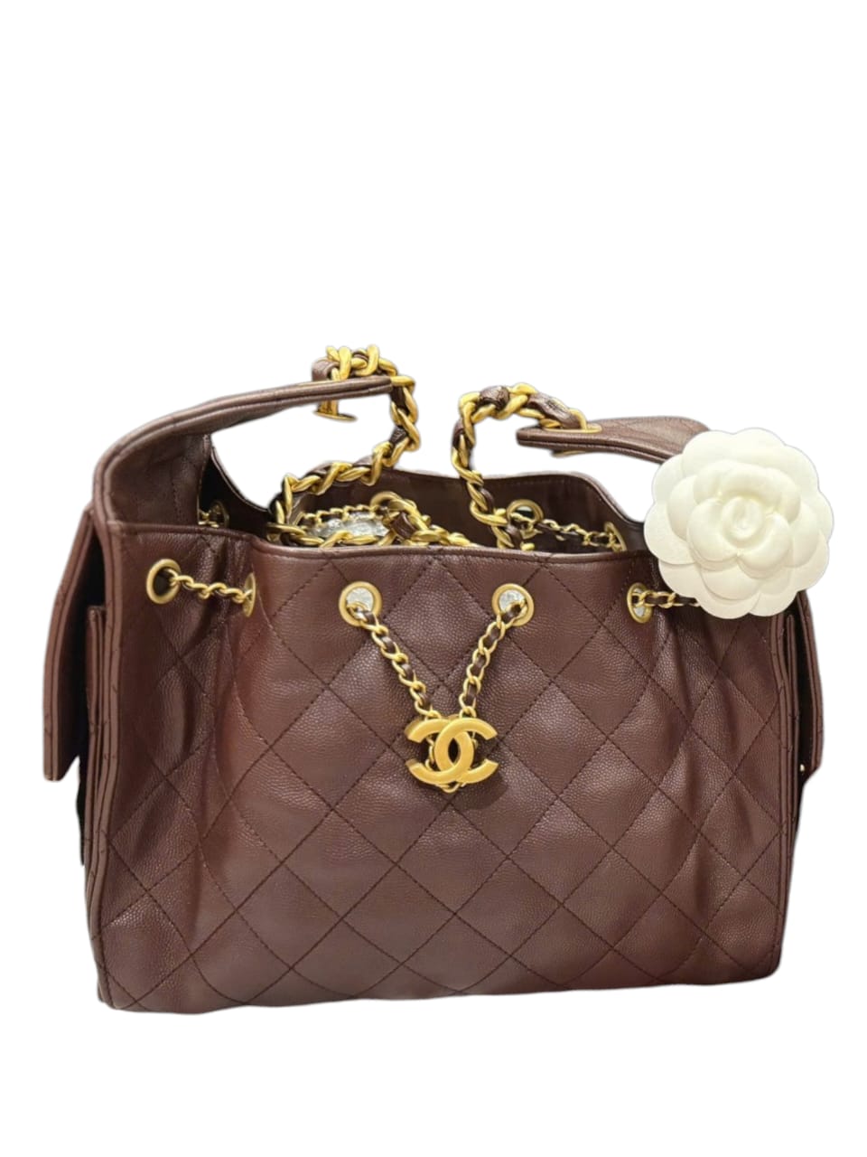 Chanel Hobo Small Dark Brown Caviar AGHW
