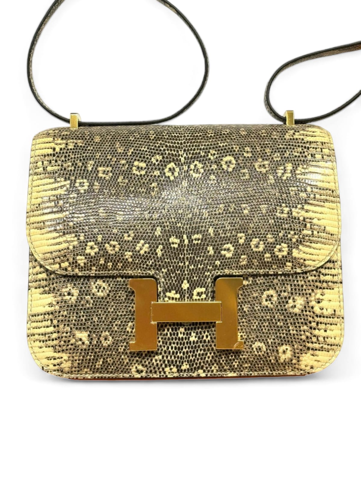 Hermes Constance 18 Ombre Lizard GHW