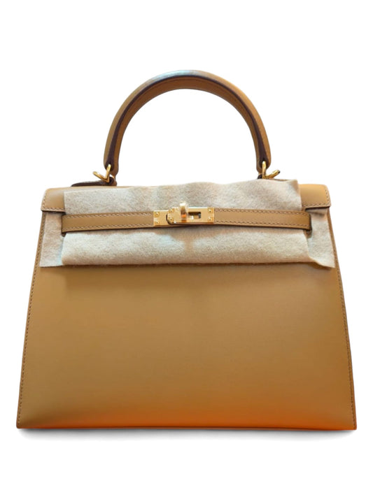 Hermes Kelly Sellier 25 Poussiere Tadelakt GHW