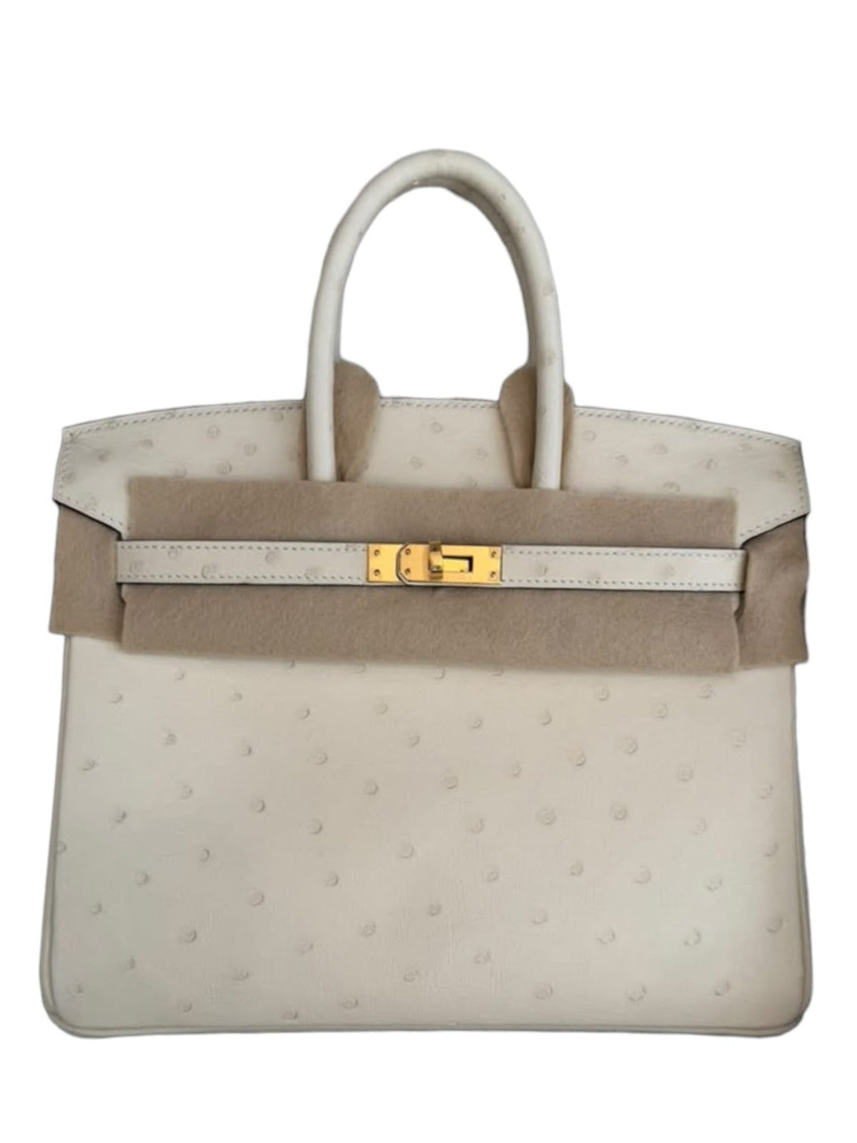 Hermes Birkin Retourne 25 Nata Boreal Ostrich GHW